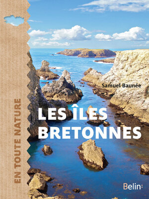 cover image of Les îles bretonnes